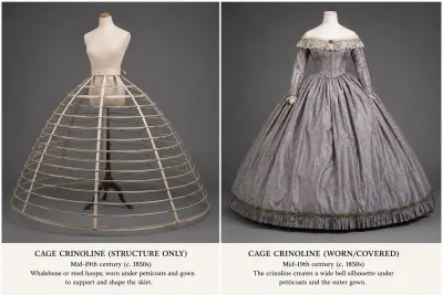 Cage Crinoline